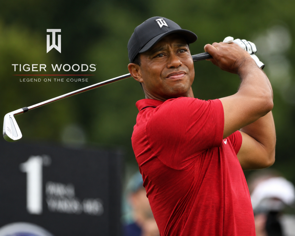 Tiger Woods image